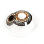 Mummy Double Iris Eye Sclera Contacts