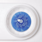 White Walker Mini Sclera Contacts