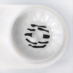Zebra Contact Lenses